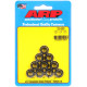 ARP vijaki ARP matice (12-robna glava), M9×1.25, 10 kos | race-shop.si