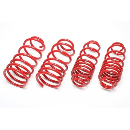 TA technix Spustna vzmet TA-TECHNIX za Lexus CT 200H A10a 30/25mm | race-shop.si