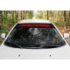 Nalepke za vetrobransko steklo RACES windscreen sticker | race-shop.si