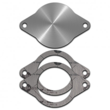 Svečke EGR Čep za odstranjevanje EGR s tesnili, primeren za FORD Focus, Mondeo, Galaxy | race-shop.si