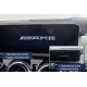 OBD addon/retrofit kit Coding dongle activation AMG start logo for Mercedes-Benz AMG GT C190 | race-shop.si