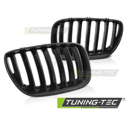 GRILLE GLOSSY BLACK for BMW X5 E53 LCI 04-06
