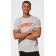 Majice Majica F1 Logo, siva | race-shop.si