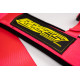 Varnostni pasovi in dodatna oprema 5-točkovni varnostni pasovi RACES Motorsport series, 3" (76mm), pink | race-shop.si