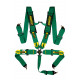 Varnostni pasovi in dodatna oprema 5-točkovni športni varnostni pasovi RACES Motorsport 3" (76mm), zelena | race-shop.si